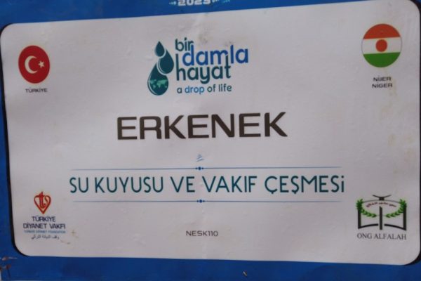 DCIM101MEDIADJI_0775.JPG