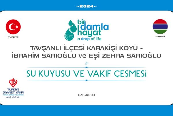 GMSK003