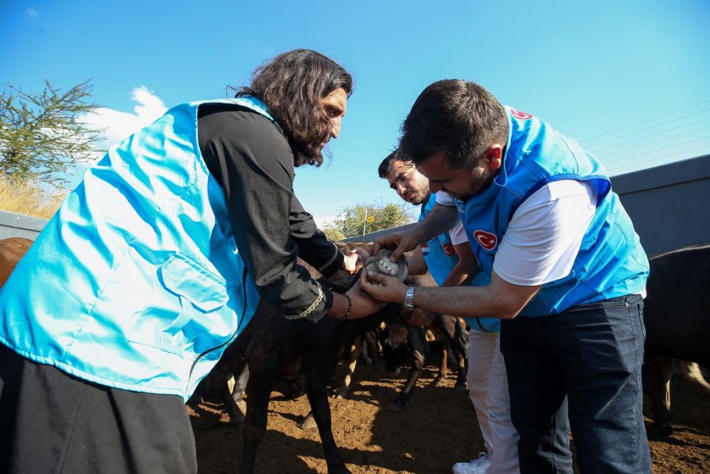 kurban , kurban bağışı, kurban eti dağıtımı, TDV ekipleri Mozambik'te kesilecek kurbanları kontrol etti