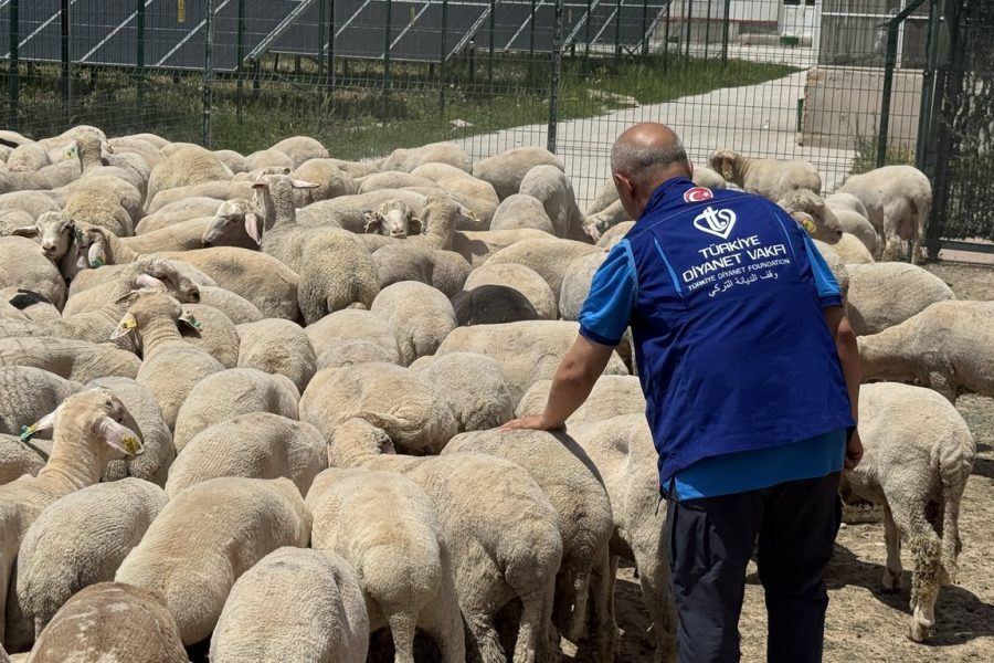 kurban , kurban bağışı, kurban eti dağıtımı, TDV, Konya'da kurban etlerini 12 bin 540 kişiye ulaştıracak