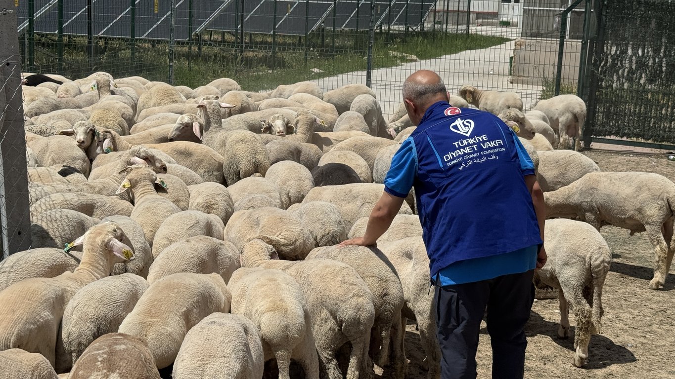 kurban , kurban bağışı, kurban eti dağıtımı, TDV, Konya'da kurban etlerini 12 bin 540 kişiye ulaştıracak