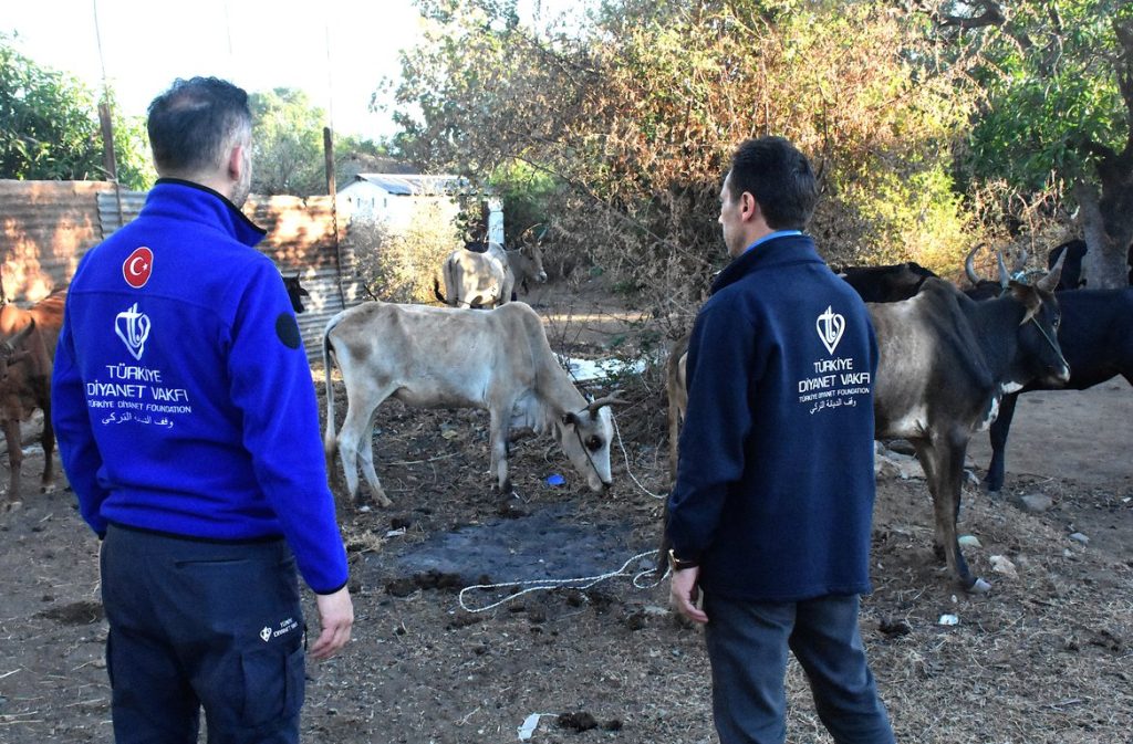 kurban , kurban bağışı, kurban eti dağıtımı, TDV Madagaskar'da 4 bin 900 hisse kurban etini ihtiyaç sahiplerine ulaştırıyor