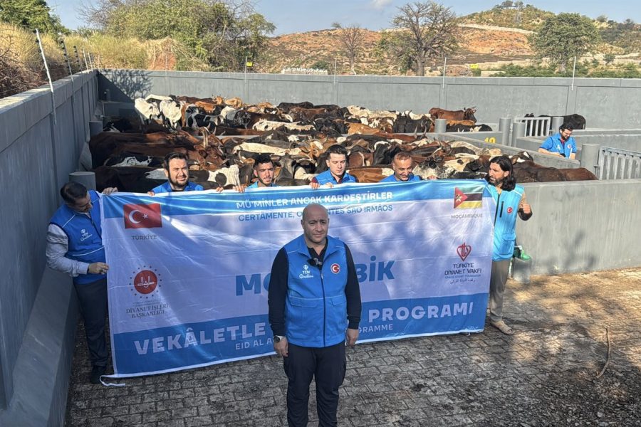 kurban , kurban bağışı, kurban eti dağıtımı, TDV Mozambik'te 1400 kurban hissesi dağıtacak