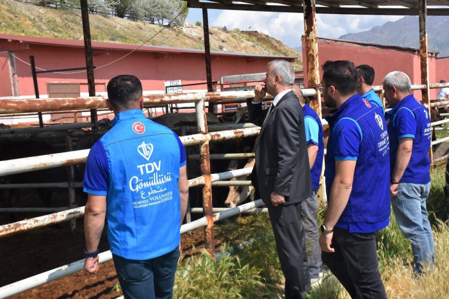 kurban , kurban bağışı, kurban eti dağıtımı, TDV, Van'da 6 bin 825 hisse kurbanlığın kesimine başladı