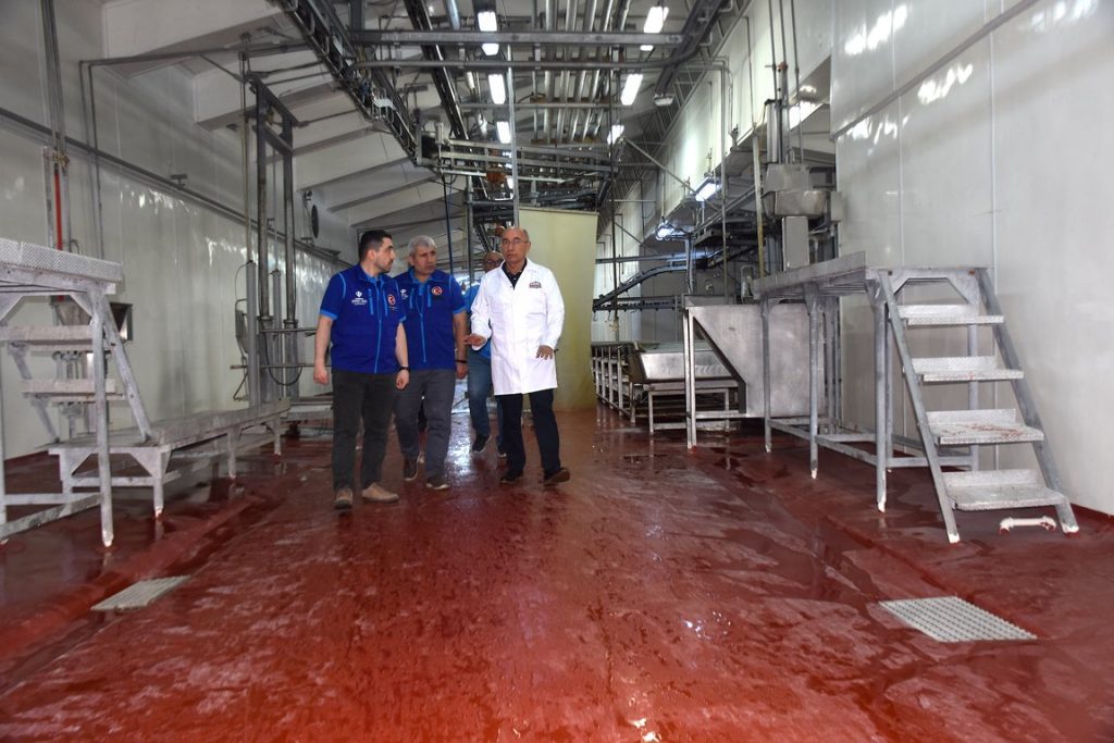 kurban , kurban bağışı, kurban eti dağıtımı, Türkiye Diyanet Vakfı, Togo'da 20 bin aileye kurban eti dağıtacak