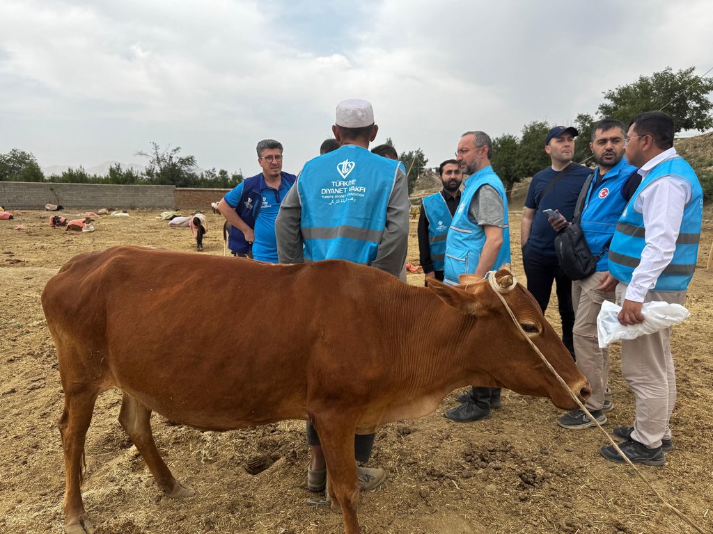 kurban , kurban bağışı, kurban eti dağıtımı, Türkiye Diyanet Vakfı 8 bin 400 hisse kurban etini Afganistan'daki ihtiyaç sahiplerine ulaştıracak