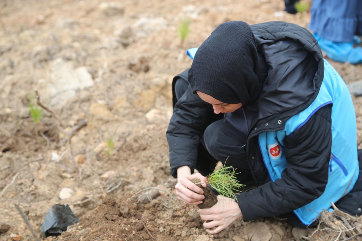 1 iyilik 1 fidan, fidan dikimi, fidan, orman yangınları ile mücadele, 1idan dikim organizasyonu, fidan bağışı